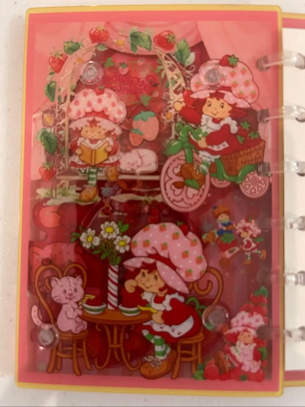 Strawberry Shortcake Acrylic Shaker Notebook